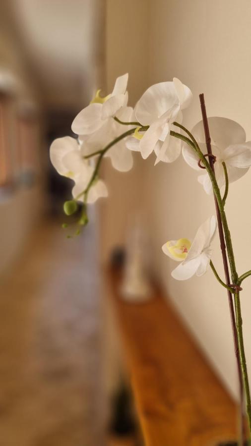 Casa Vacanze Giulia Giarre Buitenkant foto